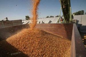 PRODUCCIÓN MUNDIAL DE CEREALES ALCANZARÍA LAS 2.479 MILLONES DE TONELADAS