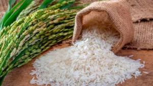 Producción nacional de arroz cáscara aumentó 39.2% en abril de este año