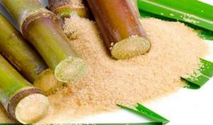 Producción nacional de azúcar en 2024 alcanzó las 955 mil toneladas, mostrando un aumento de 3.9% frente al año previo