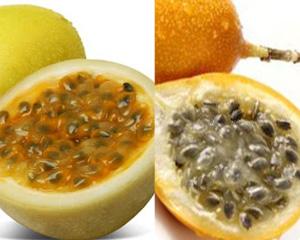 PRODUCCIÓN NACIONAL DE GRANADILLA Y MARACUYÁ INCREMENTÓ MÁS DE 30%