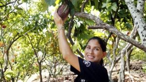 Produce impulsa innovación de la cadena productiva del cacao y chocolate