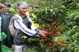 Produce trabaja en la modernización de Ley General de Cooperativas