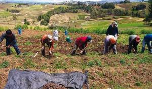 PRODUCTORES CREARÁN LA FEDERACIÓN NACIONAL DE COOPERATIVAS AGRARIAS 