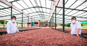 Productores de Amazonas exportan 200 toneladas anuales de cacao fino de aroma a Europa