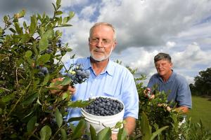 Productores de EE.UU. se quejan de que  Universidad de Florida ayuda a la competencia mexicana