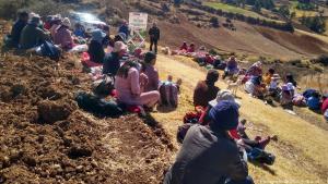 Productores de Junín elevan cosecha de semillas de tarwi Andenes 90 con alta calidad genética