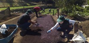 Productores del sector agrario beneficiados con manejo sostenible de recursos naturales