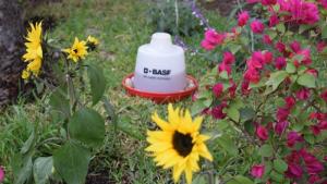 Programa de conservación de biodiversidad impulsa buenas prácticas agrícolas para proteger a los polinizadores y organismos benéficos