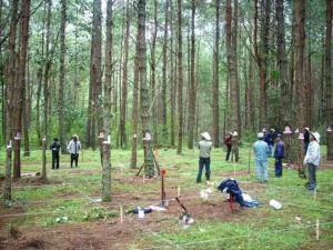 PROGRAMA DE DESARROLLO FORESTAL ARTICULA A OCHO GOBIERNOS REGIONALES PARA GESTIONAR BOSQUES