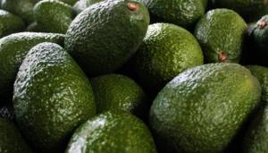 ProHass: Actualmente existen 60.091 hectáreas de palta Hass en nuestro país, representando un aumento de 19% frente a 2021