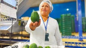 ProHass pide reforzar acciones técnicas ante nuevas exigencias de inocuidad