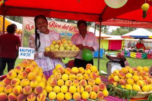 Promoverán cultivo y comercialización de durazno, pera y otros en Cusco