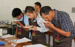 PROMUEVEN FORMACIÓN DE CATADORES EN CACAO ESPECIAL