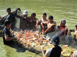 PROPONEN ACTIVIDAD PISCÍCOLA COMO ALTERNATIVA DE CRECIMIENTO PRODUCTIVO