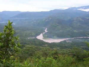 PROPUESTA DE LEY FORESTAL INGRESARÍA AL CONGRESO EN DOS SEMANAS