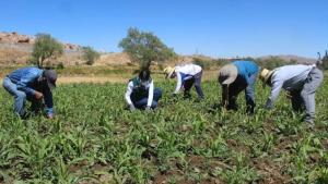 Publican proyecto de reglamento de Ley de Reconversión Productiva Agropecuaria