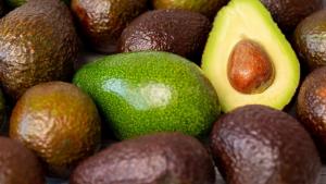 Puerto del Callao se consolida como actor principal en el aumento de las exportaciones de palta peruana
