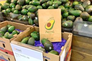 ¿Quiénes fueron los principales importadores de palta peruana en Europa durante 2022?