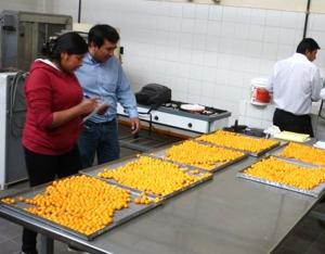 REALIZAN CURSO DE DESHIDRATADO DE FRUTAS Y BERRIES EN AREQUIPA