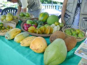 REALIZARÁN EXPOFERIA AGROINDUSTRIAL “EMPRENDEDORES 2012”