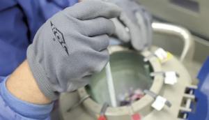 Rechazan Resolución Ministerial que restringe uso de semen bovino congelado en zona andina