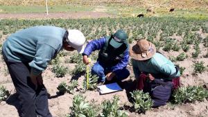 Recomendaciones para prevenir daños en cultivos por lluvias intensas