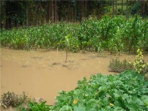 REESTRUCTURACIÓN DE LA DEUDA AGRARIA SIN RESPALDO FINANCIERO