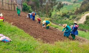 Registro de los productores al Padrón de Productores Agrarios les permitirá acceder a la entrega de fertilizantes