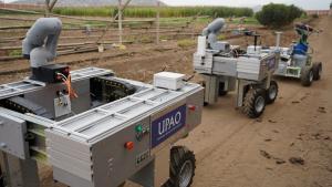 Robot peruano ayuda a predecir la cosecha de arándanos con menos de 5 % de error