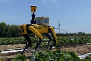 Robots cuadrúpedos se suman como opciones para modernizar la agricultura peruana