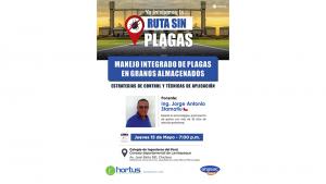 “Ruta sin plagas 2025” realizará jornada sobre Manejo Integrado de Plagas en Granos Almacenados