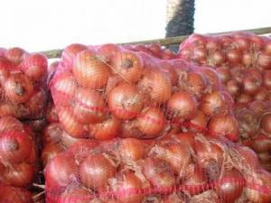 SALVAGUARDIA DE COLOMBIA AFECTARÍA ENVÍOS DE CEBOLLA, FREJOL Y QUESO