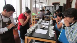 SE INICIÓ ETAPA SEMIFINAL DEL X CONCURSO NACIONAL DE CAFÉS DE CALIDAD 2014