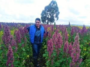 Se necesitan 5.5 millones de toneladas de guano de isla para sustituir las 1.2 millones de toneladas de fertilizantes sintéticos que importa Perú anualmente