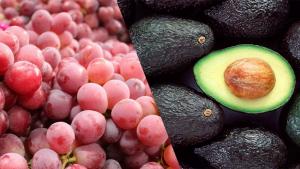 Sector agropecuario y agroindustrial lideró las exportaciones no tradicionales de Perú a España