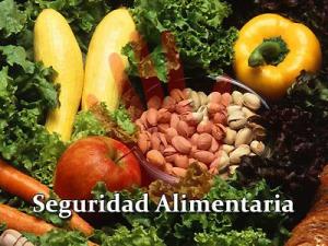 SEGURIDAD ALIMENTARIA A NIVEL MUNDIAL NO ESTÁ EN RIESGO