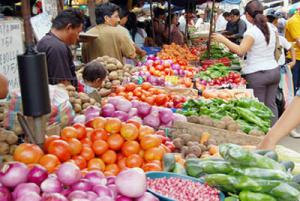 “SEGURIDAD ALIMENTARIA PUEDE AUMENTAR  CON MEJORES MERCADOS”