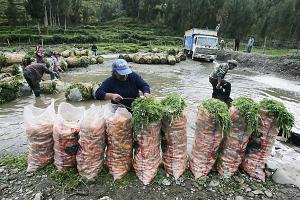 Seguro Agrario Catastrófico se activó en la Amazonía