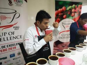 Seleccionan a 82 caficultores para III Competencia Taza de Excelencia Perú 2019