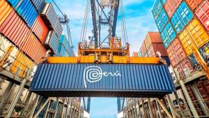 Sembrar para cosechar