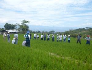 SENASA CAPACITA A PRODUCTORES AGROPECUARIOS DE DIVERSAS REGIONES