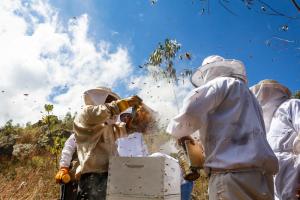 Senasa capacitó a productores apícolas en prevención y control de Varroosis