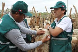 SENASA EJECUTA SEGUNDA ACCIÓN CÍVICA DE PREVENCIÓN ANTE FENÓMENO EL NIÑO