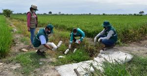 Senasa lidera recojo de envases vacíos de plaguicidas en La Libertad