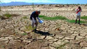 Sequías en el norte, sur y nororiente del Perú ponen en riesgo la producción agropecuaria y seguridad alimentaria