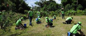 Serfor: Cada región del país contará con un plan de trabajo según su potencial para el desarrollo forestal