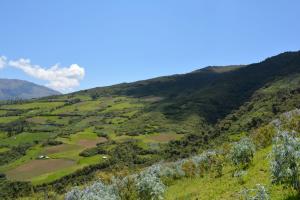 Serfor y consorcio internacional se unen para trabajar proyectos de restauración de tierras degradadas