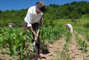 “Si agricultura familiar está pasando momentos difíciles, debemos hacer un esfuerzo para ellos"