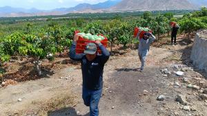 “Si el gobierno se enceguece por las cifras de la agroexportación, vamos mal”