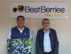 SIERRA EXPORTADORA Y BEST BERRIES PROMUEVEN CULTIVO DE ARÁNDANOS